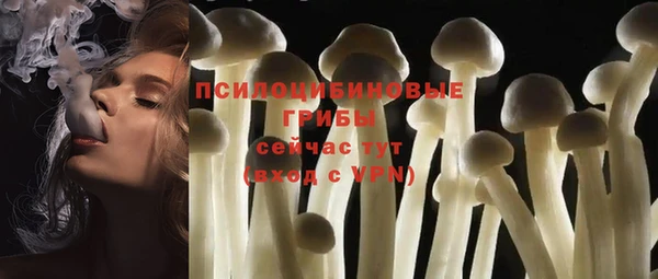 стафф Рославль