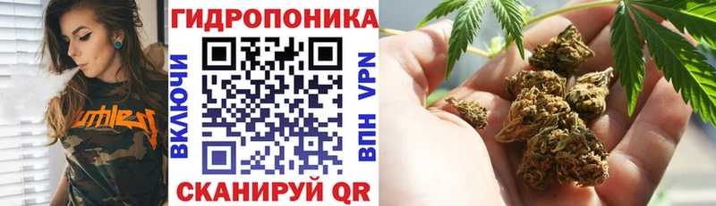 магазин  наркотиков  Красновишерск  мега сайт  МАРИХУАНА конопля 